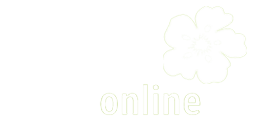 Centro de Salud Online